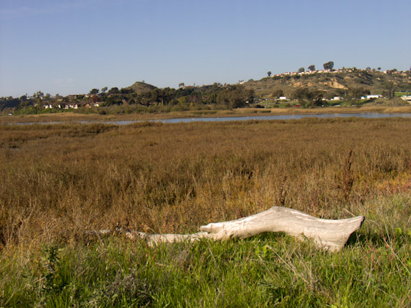CRW_0632