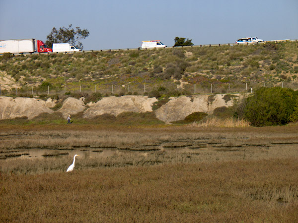 CRW_0634
