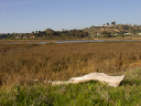 CRW_0632