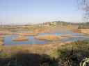 CRW_0636