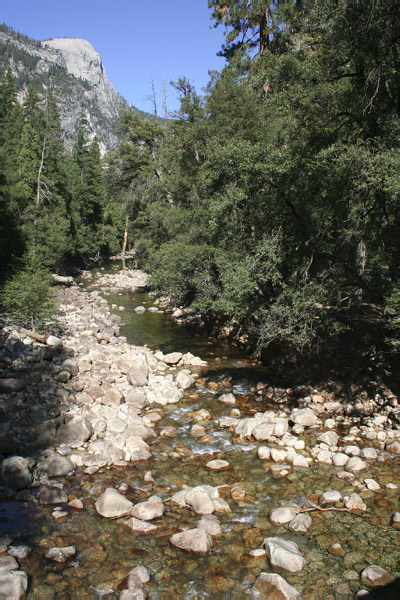 IMG_2349