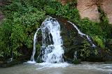 IMG_4959