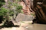 IMG_5010